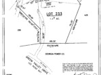 Lot - 233 Survey